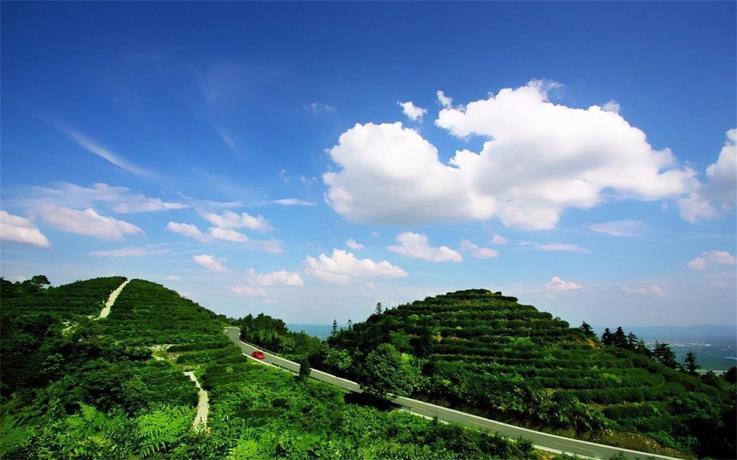 被遗忘的4a级景区重庆永川茶山竹海电影十面埋伏的取景地