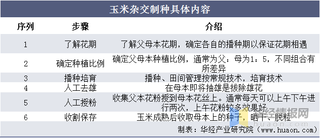 中国杂交玉米行业技术分析及投资战略规划研究报告