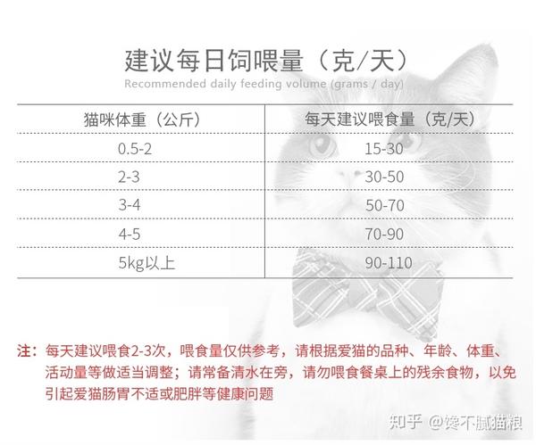 猫咪自由采食跟定时喂食的优缺点看完你就知道怎么喂了