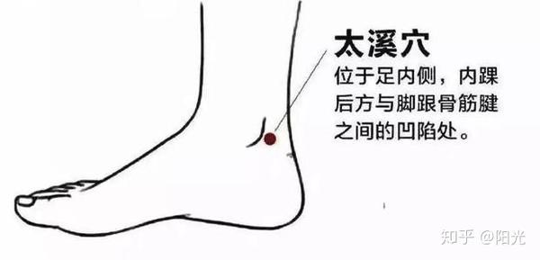 3,太溪穴位于何处 太溪穴的位置在脚踝内侧后跟骨上动脉凹陷处,当