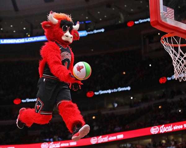 【nba吉祥物图鉴】公牛——贝利