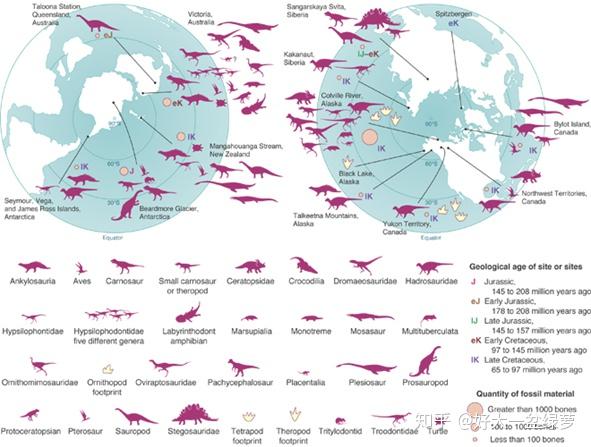 恐龙化石,相对于典型外温动物化石,在纬度分布上要更广.