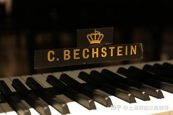 贝希斯坦c.bechsteinberlin l167 三角钢琴