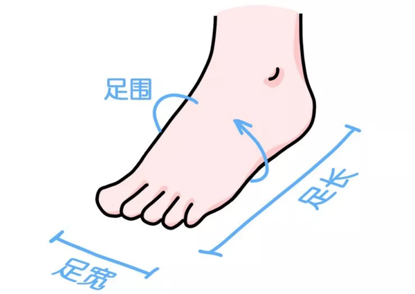 一双脚上主要有74个维度,有 3个尺寸确认你跟鞋子的眼神(足围,足宽