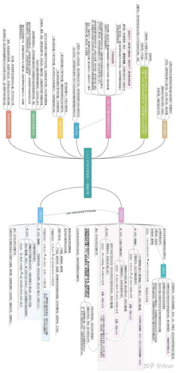 高考生物回归教材思维导图(完结(必修一(精细)