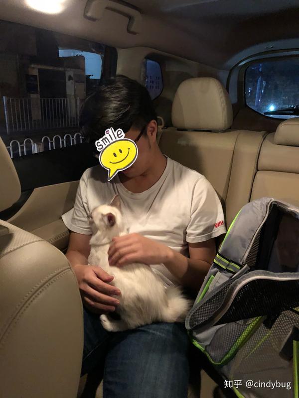 回家路上特别乖 在车上像个好奇宝宝一样看窗外