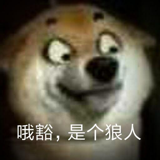 有哪些沙雕表情包?