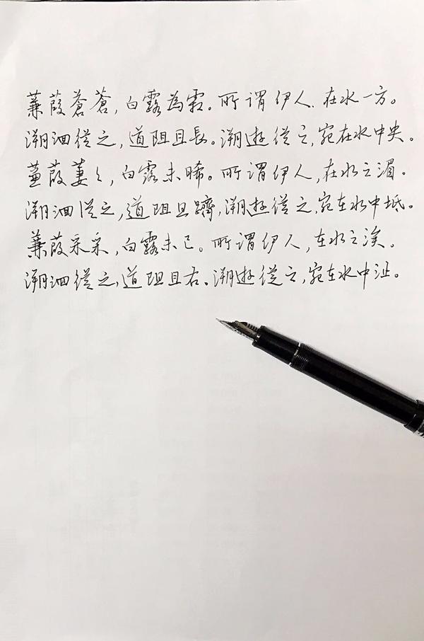 诗经《蒹葭》钢笔字笔友习作欣赏