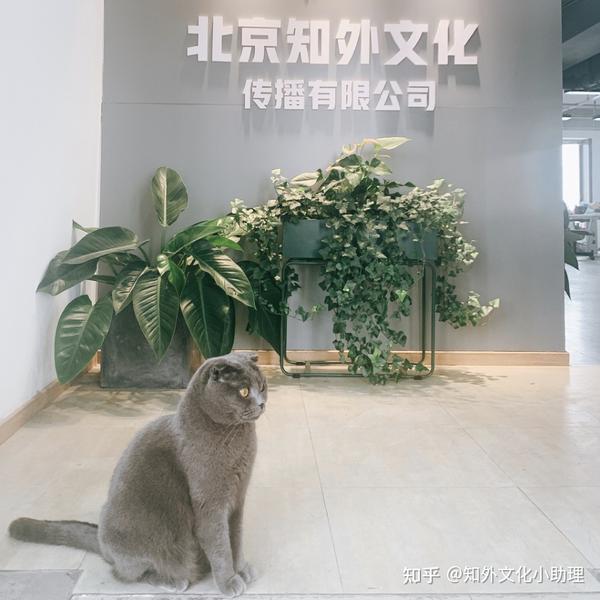 知外的镇宅大boss黑鼠