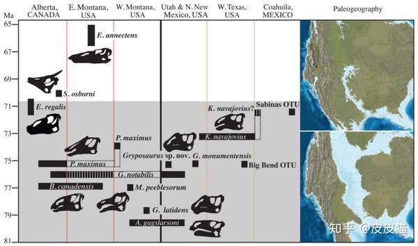 晚白垩纪北美穿越指南恐龙篇1种类与分布