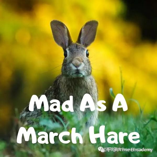 2. mad as   march hare