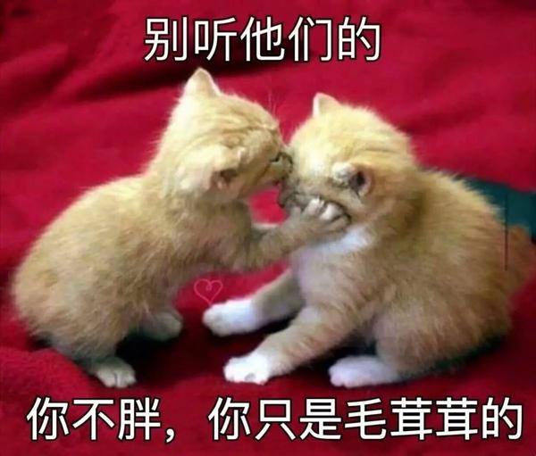 表情包 | 早睡乖乖卡