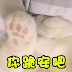 有哪些适合情侣间聊天使用的表情包?