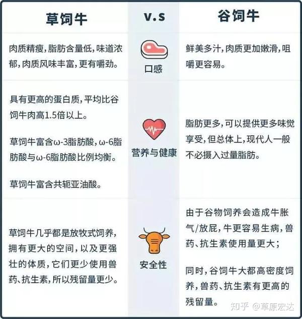 科普解析草饲与谷饲牛肉的区别