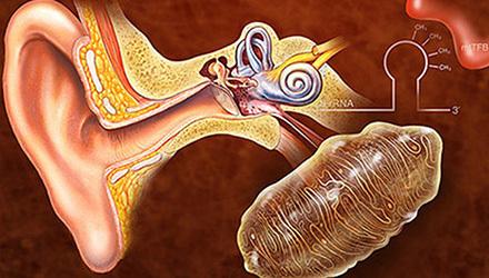 北京首大医院耳科戴海江讲解耳聋从生活细节判断耳聋的严重程度