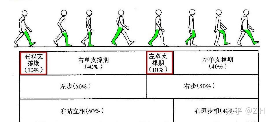 行走训练过程中,做对这几个关键点,你将走的更好!