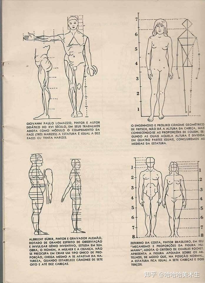 速写绝版的伯里曼人体结构绘画教学