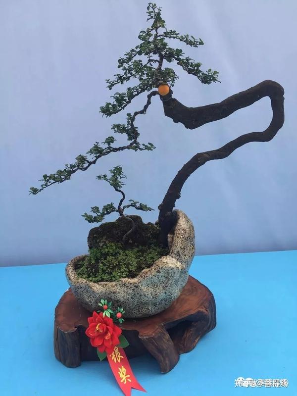 徐绍明·金弹子·凝月