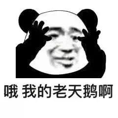 我的表情包 - 知乎