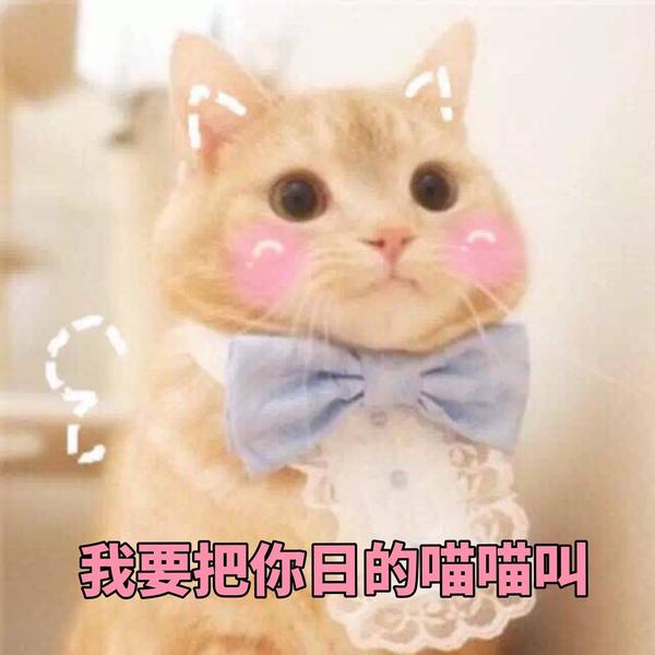 拿图点赞啵啵啵