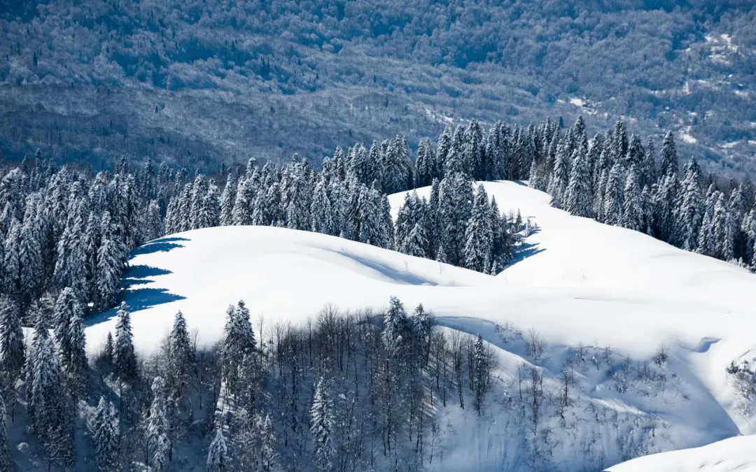 穿越军穿越中国东北林海雪原亲子毅行