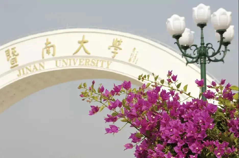 暨南大学 2021年mpa录取情况 知乎