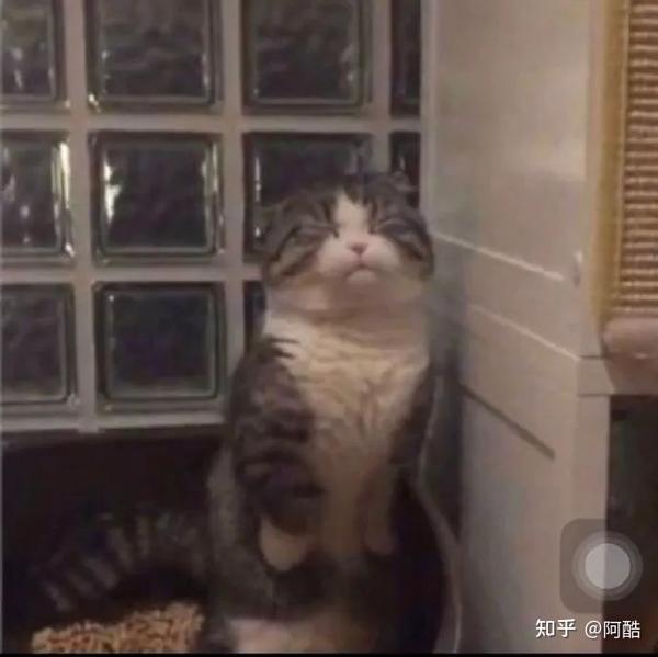 有哪些让人笑到直不起腰的搞笑图片?(三)