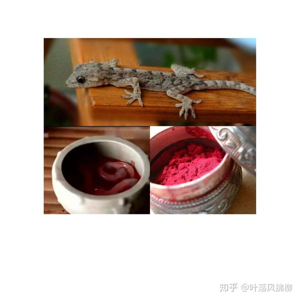 守宫砂秘史——守宫砂有效吗?