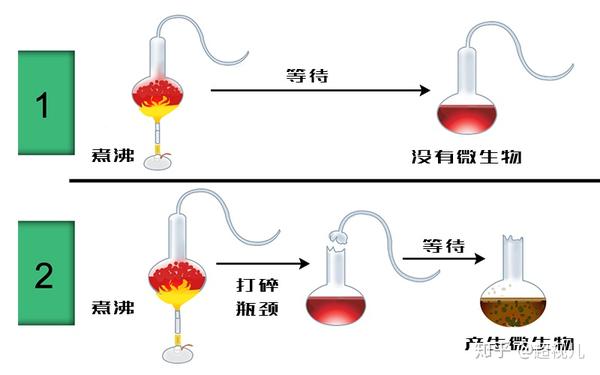 直到19世纪,法国微生物学家巴斯德进行了著名的"鹅颈烧瓶"实验,证明