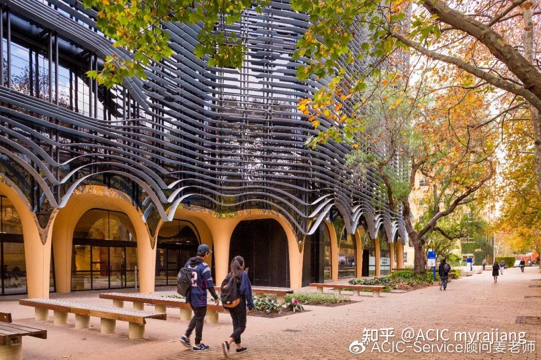 图片叁  墨尔本大学校园中拥有大量蓝花楹,每年九到十月为花季,靛
