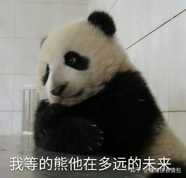 搞笑表情包图片:满脸单纯,老实巴交