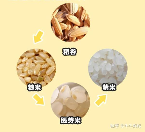 30块钱一斤的胚芽米真的是"智商税"吗?有没有必要给宝宝吃?