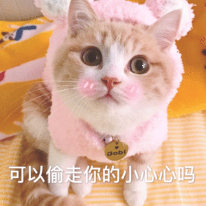 壁纸 动物 猫 猫咪 小猫 桌面 300_300 gif 动态图 动图
