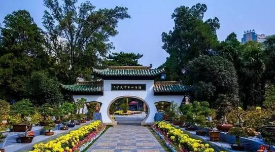 洛阳,王城公园:初开牡丹露芳姿,姹紫嫣红春意浓 低音号旅游