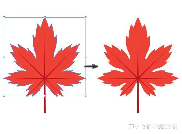 东莞石龙平面设计培训ai教程绘制枫叶