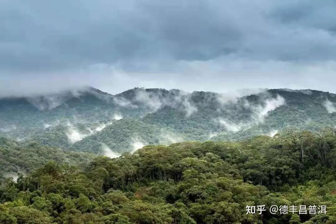 云南临沧勐库有一座著名的邦马大雪山,主峰勐库大雪山,海拔3200米