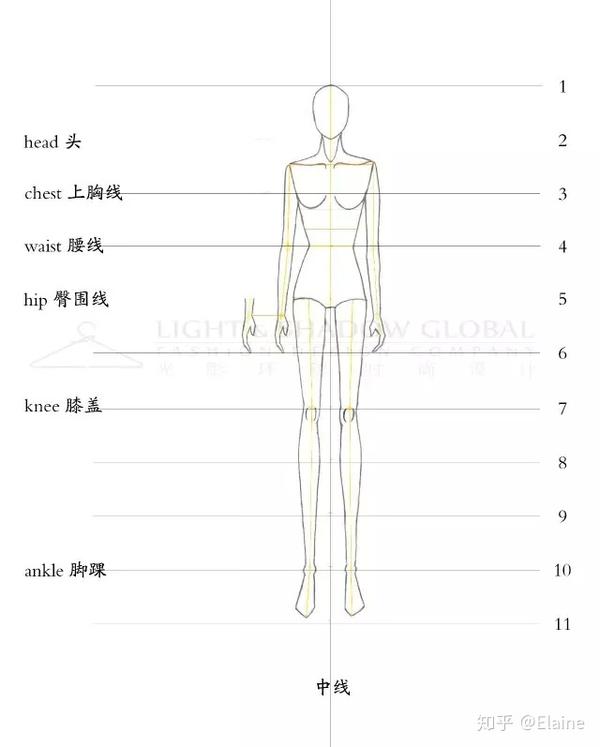 手绘教程经典|服装设计女性人体手绘教程