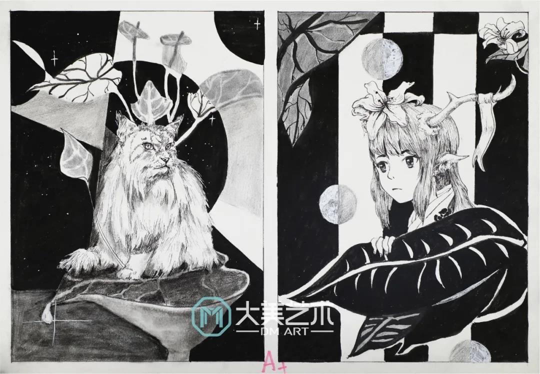 校考设计考装饰画考什么