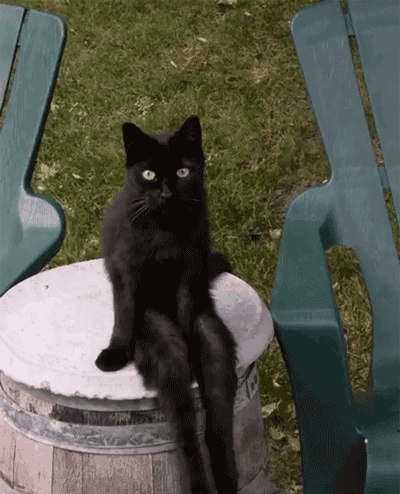 你有哪些压箱底的表情包?