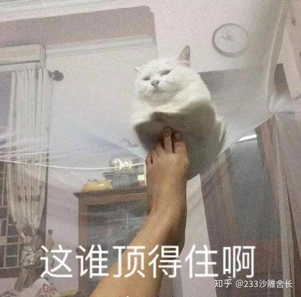 沙雕233,没错大学宿舍竟能如此的愉快(1)
