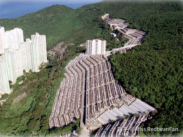 落叶归根|香港第一个华人墓地