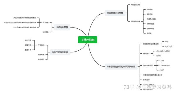 医学免疫学思维导图