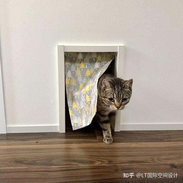 家里养猫的贴心小设计猫洞门宠物家装创意灵感