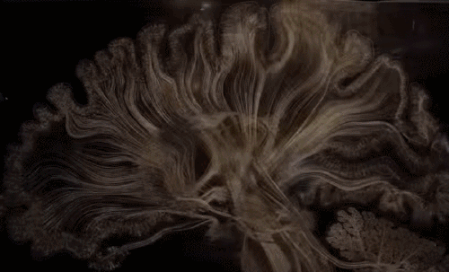 专家早教丨神经元,从出生就开始流逝的财富