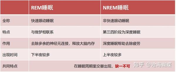rem睡眠和nrem睡眠同样重要
