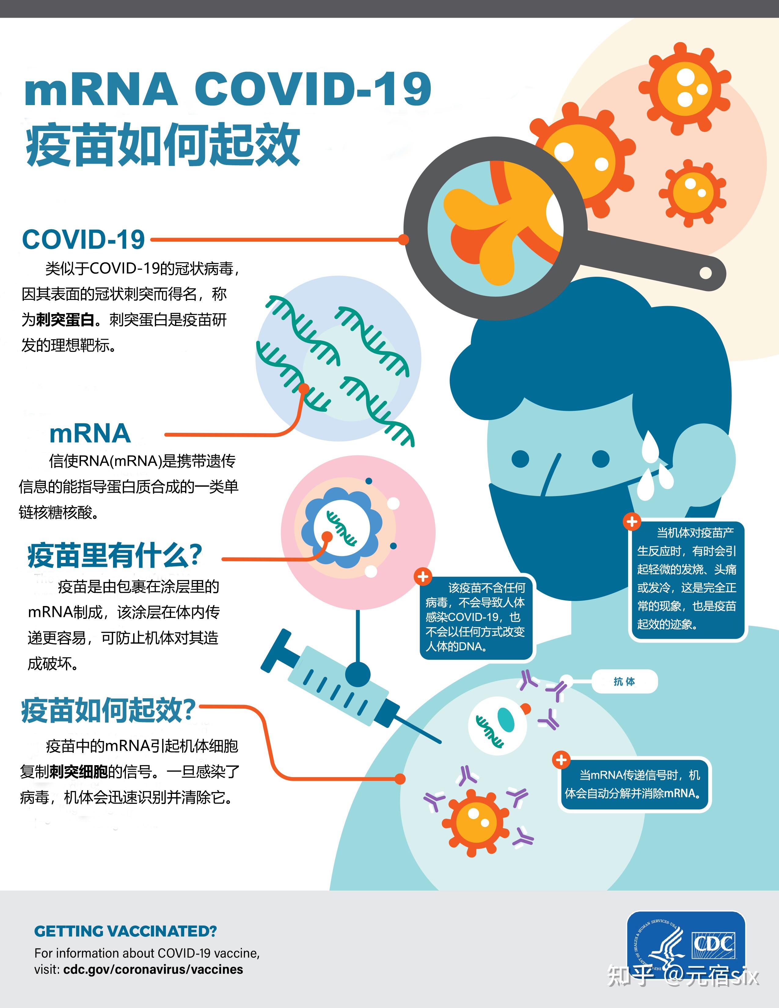 为什么接种新冠疫苗能够在人群中产生更全面的保护