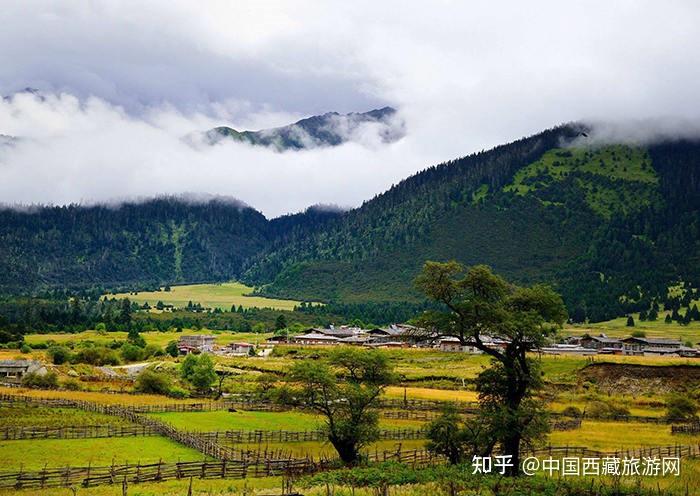 交通:鲁朗林海景区内步行可到位置:林芝市巴宜区鲁朗镇鲁朗林海景区内