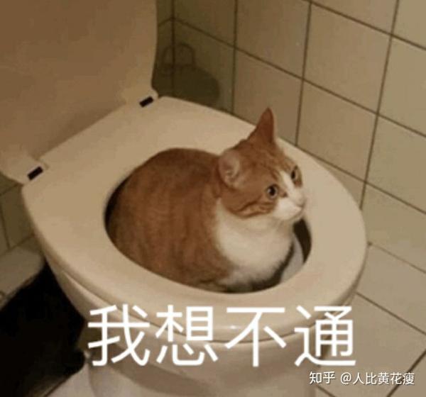 有哪些你认为沙雕搞笑的表情包?