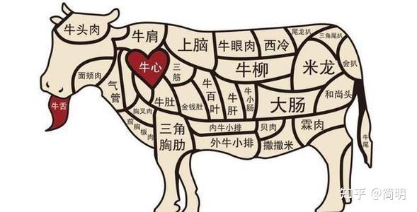 如何分辨超市的牛肉是什么部位的能够做什么菜