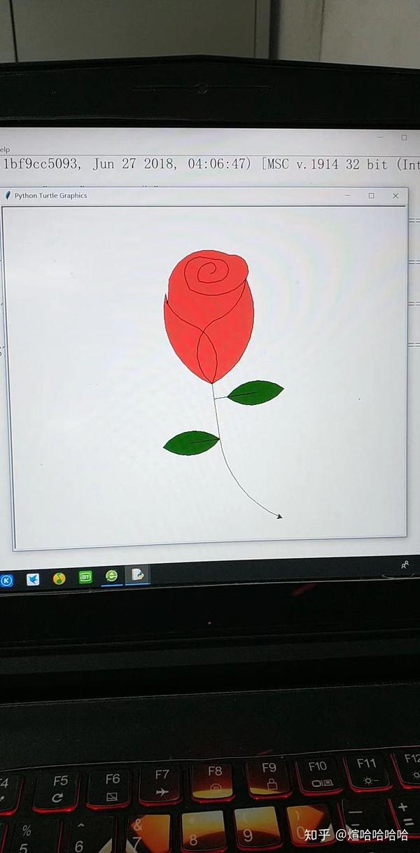 嵩天老师介绍的python库也挺好玩的,答主就用turtle库画了一个玫瑰花.